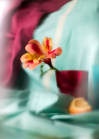 Close-up of red rose in glass