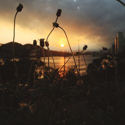 Scenic view of sunset sky