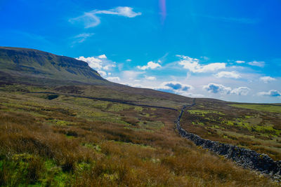 Scenic view of landscape against blue sky