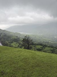 nature