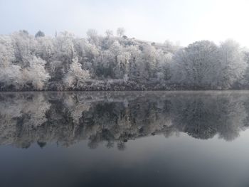 Reflection of trees in lake against clear sky