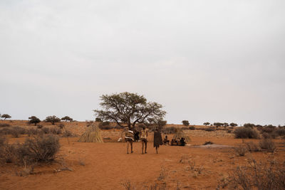 Rear view of people walking on sand