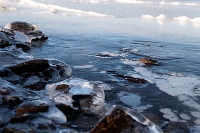 Surface level of frozen sea shore