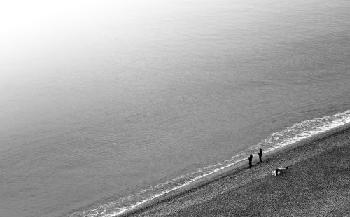 High angle view of people on beach