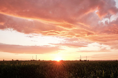 Scenic view of field against sky during sunset