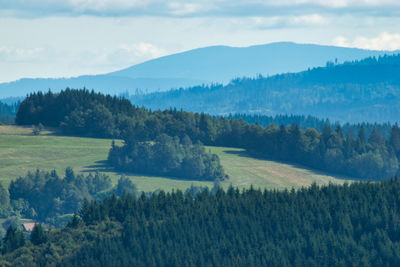 Scenic view of trees on field against sky