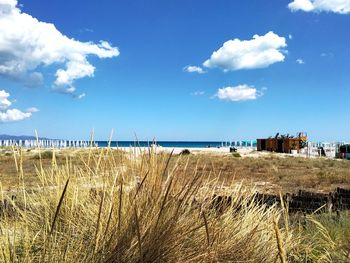 Scenic view of beach against sky