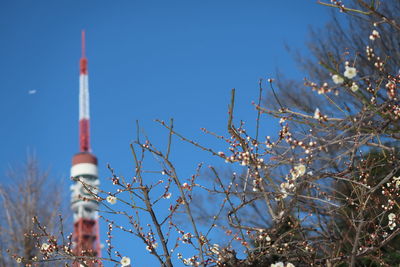 Low angle view of tower against blue sky