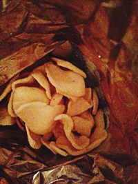 Full frame shot of water