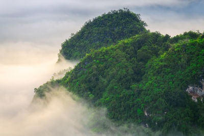 Mist flows in the valley in the morning.