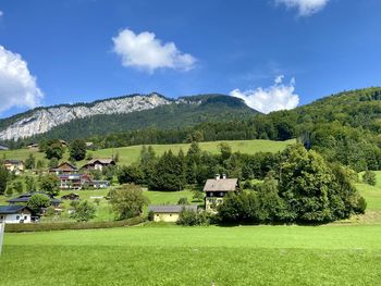 Scenic view of agricultural field against sky