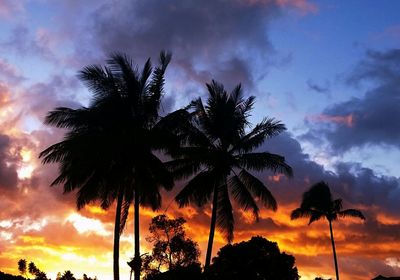 Low angle view of palm tree against cloudy sky