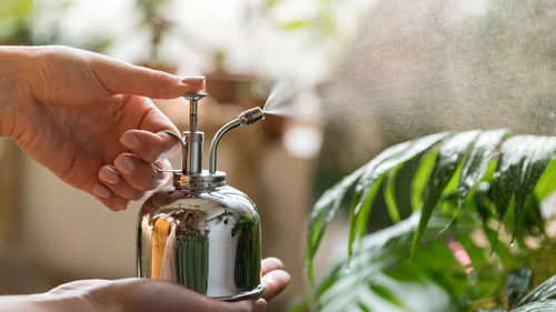 Woman florist spraying houseplant by vintage steel water sprayer at garden home houseplants