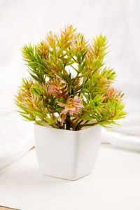 Close-up of potted plant