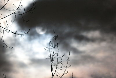 Low angle view of bare tree against cloudy sky