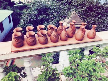 High angle view of various flowers in container