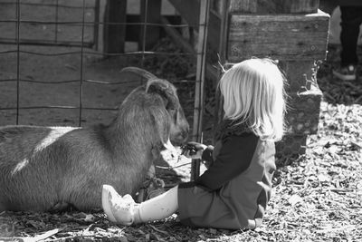 Rear view of girl sitting with horse