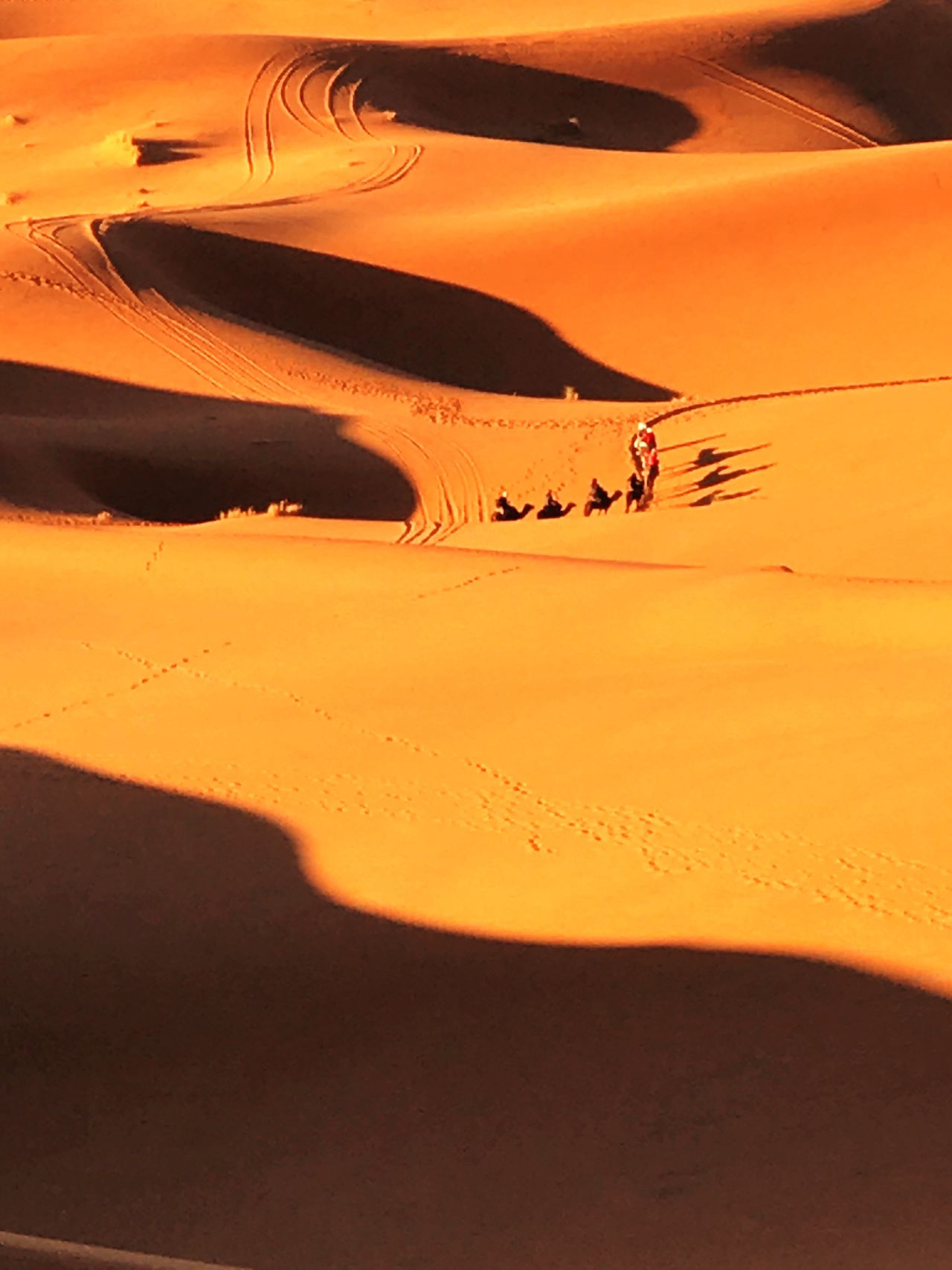 Standing on top of sand dune looking down and my tour group on camels, Sahara , Morocco, amazing , hard work getting to the top!