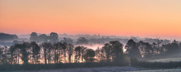 Trees on landscape against sky during sunset