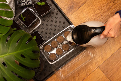 High angle view of person preparing food on table