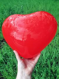 Cropped image of person holding red leaf