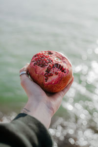 Cropped hand of person holding food