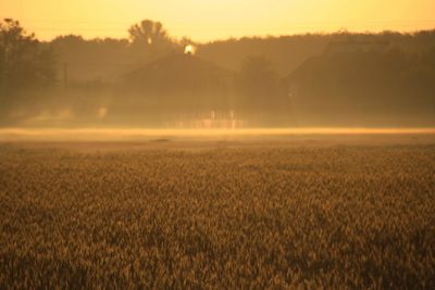 Scenic view of field against sky during sunset