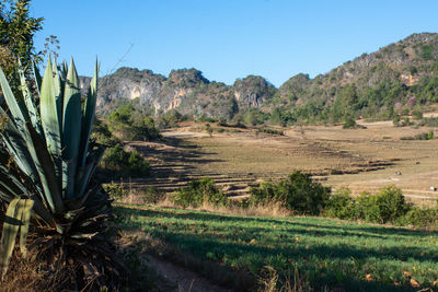 That beautiful landscape in country side myanmar