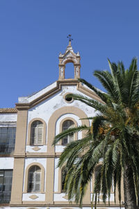 Low angle view of palm trees and building against sky