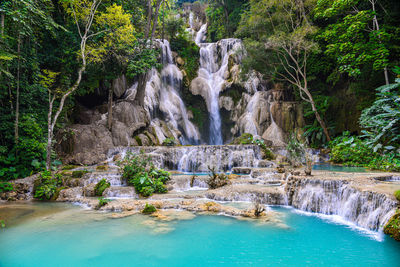 Scenic view of waterfall in forest