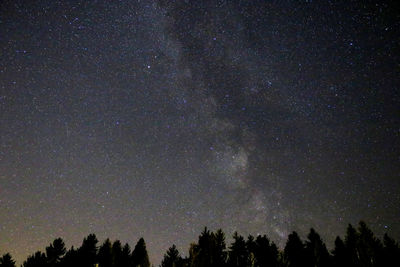 Low angle view of silhouette trees against star field at night