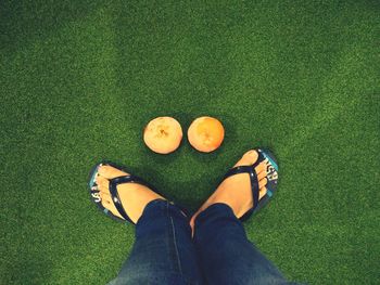 Low section of woman standing on green leaf