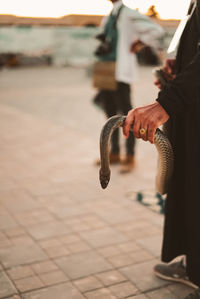 Snake in hand