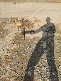 Shadow of man on sand