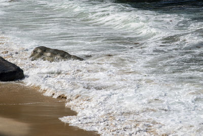 High angle view of surf on beach