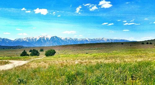 Scenic view of landscape against cloudy sky