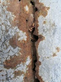 Full frame shot of rusty metal wall