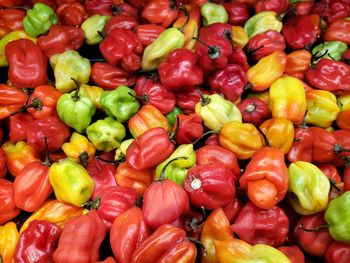 Full frame shot of multi colored vegetables for sale