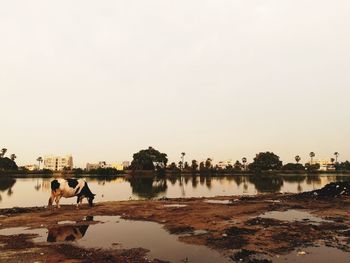 People on lake against clear sky