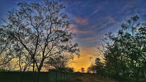 Silhouette bare tree against sky during sunset