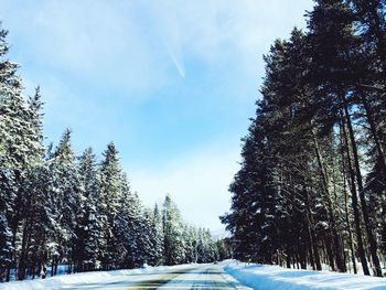 Scenic view of snow covered landscape