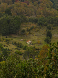 Scenic view of landscape