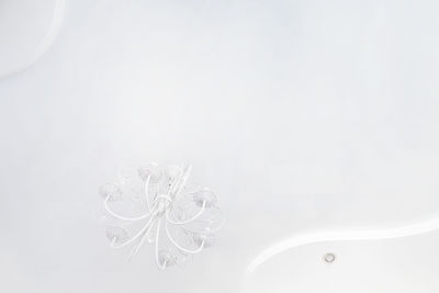 High angle view of decoration on white background