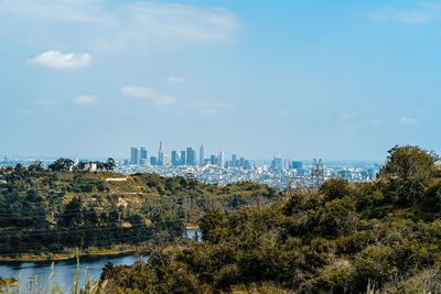 Trees and buildings in city against sky