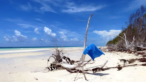 Panoramic view of beach against blue sky