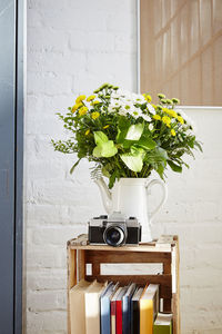 Close-up of flower vase against wall