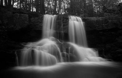 Low angle view of waterfall in forest