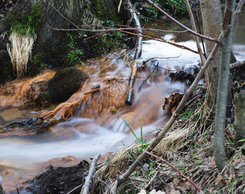 Stream flowing through rocks in forest