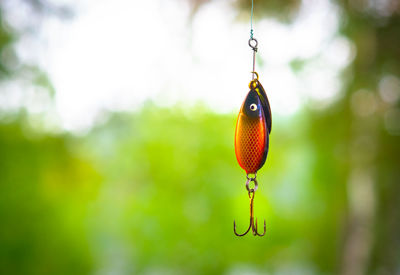 Close-up of fishing hook hanging outdoors