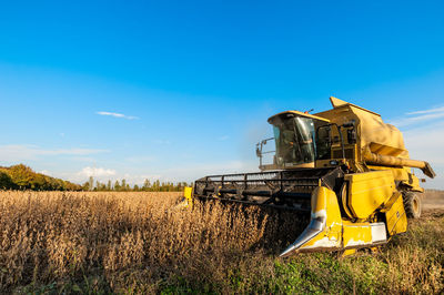 View of wheat field against clear blue sky